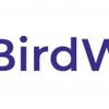 Birdwatch gallery