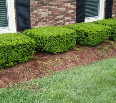 My Brothers Keeper home maintenance and landscaping - Louisville, KY