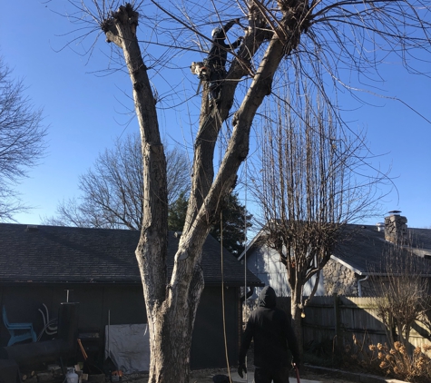 Custom Tree Care & Landscaping llc