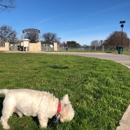 Z Bonz Dog Park - Dog Parks