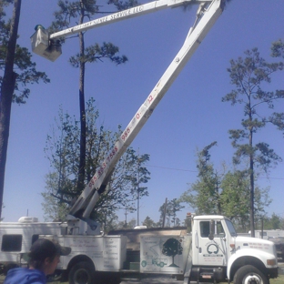 Singletary Tree Service. Tree Removal Service on Northshore