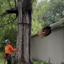Tree Pros - Tree Service