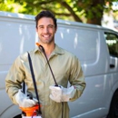 Expert Pest Control - Bee Control & Removal Service