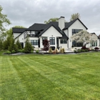 Lawn and Turf Landscaping