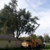 Madison County Tree Service . gallery