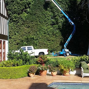 Nature's Tree Service