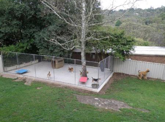 Palane Kennels - Hazelbrook, NSW