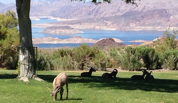 Donard Twardowski Pulse Realty Group - Las Vegas, NV. Mountain sheep in Boulder City, Nevada
Lake Mead/Mountain views.
Donard Twardowski, REALTOR®
Pulse Realty Group LLC
(702)860-2778