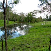 Gallery Image Number 1