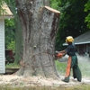 Affordable Tree Care gallery