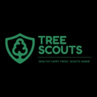 Tree Scouts Tree Service Austin