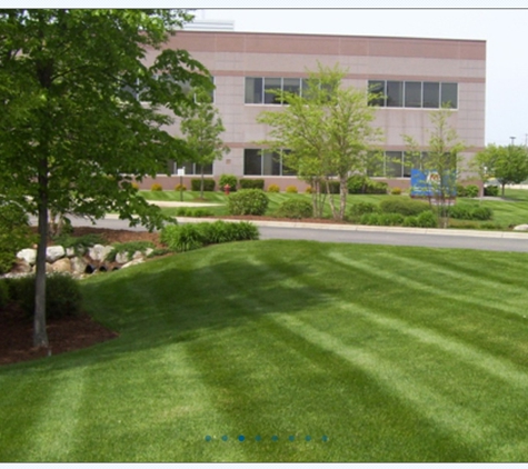 C & T Lawn & Landscape - Lynwood, IL