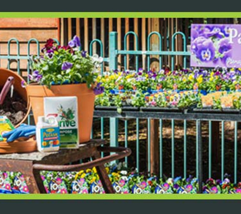 The Springs Garden World - Outdoor Furniture - Kearneys Spring, QLD. Summer Gardening