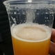 Bearded Iris Brewing