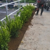 Indywork Landscaping gallery