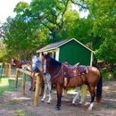 Eagle Eye Ranch Carriage Company - Tourist Information & Attractions