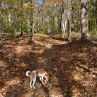 Little Bennett Campground