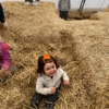 Konow's Corn Maze gallery