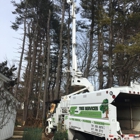 GT OptimoTree Services