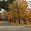 St Mary's Episcopal Church gallery