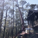 Silas Tree and Turf - Tree Service