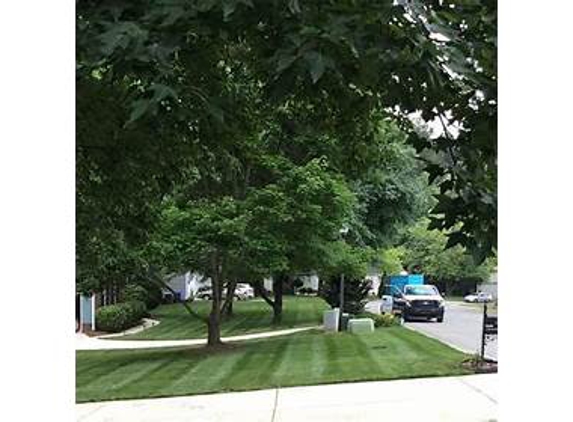 Canopy Lawn Care Raleigh