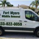 Fort Myers Raccoon Removal - Pest Control Services