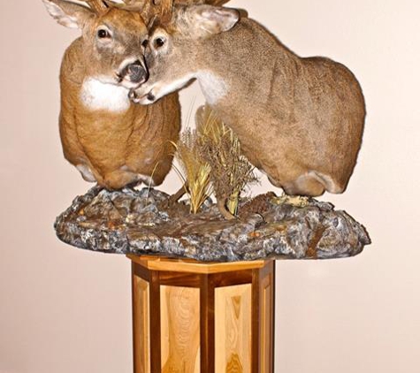 Sugar River Taxidermy - Monticello, WI