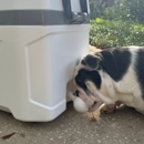 Kooler Dawg - Pet Services
