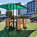 Primrose School of Grandview - Day Care Centers & Nurseries