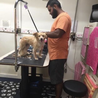 Friend & Companion Dog Grooming and Teaching Academy - Houston, TX. Student