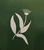 Flora Landscapes - Landscape Contractors & Designers