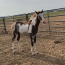 Peaceful Acres TX - Rescue Services