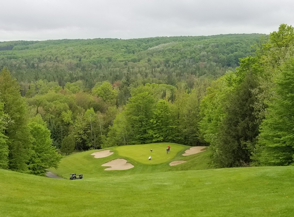 Treetops Resort - Treetops Village, MI