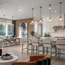Carrara Estates - Real Estate Developers