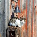 Adams Animal Care - Veterinarians