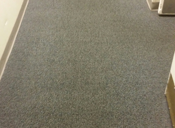 Full House Carpet Cleaning - Westminster, CO