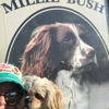 Millie Bush Dog Park gallery