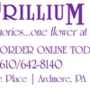 Trillium gallery