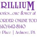 Trillium - Flowers, Plants & Trees-Silk, Dried, Etc.-Retail