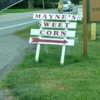 Mayne's Tree Farm gallery