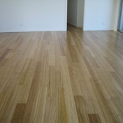 Gallery Image Number 5