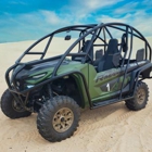 Silver Lake Buggy Rentals