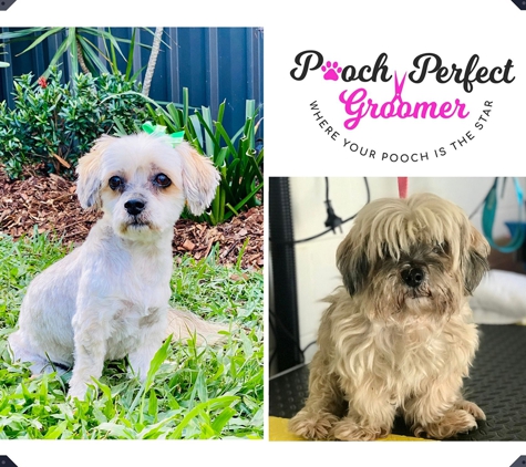 Pooch Perfect Groomer