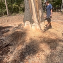 Stump Grinding Services - Tree Service