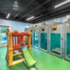 Pet Paradise Pooler gallery