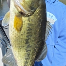Set The Hook Guide Service LLC - Fishing Guides