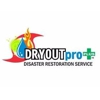 DRYOUTpro PLUS, Inc. gallery