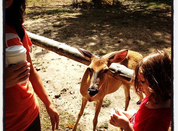 Wisconsin Deer Park - Wisconsin Dells, WI