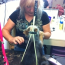 All small paw's - Dog & Cat Grooming & Supplies
